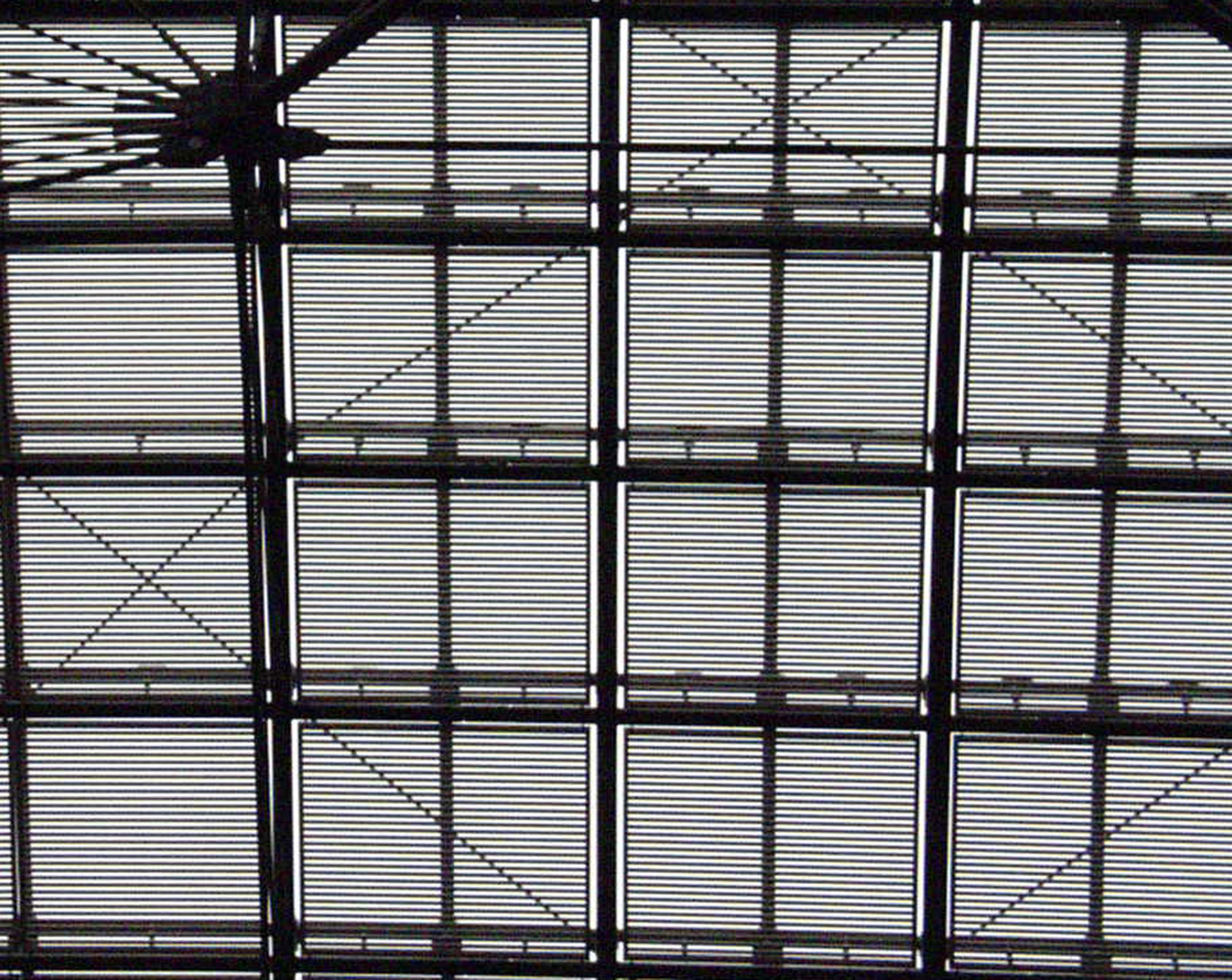 Iron and glass roof in a square grid, a starburst joint at the top