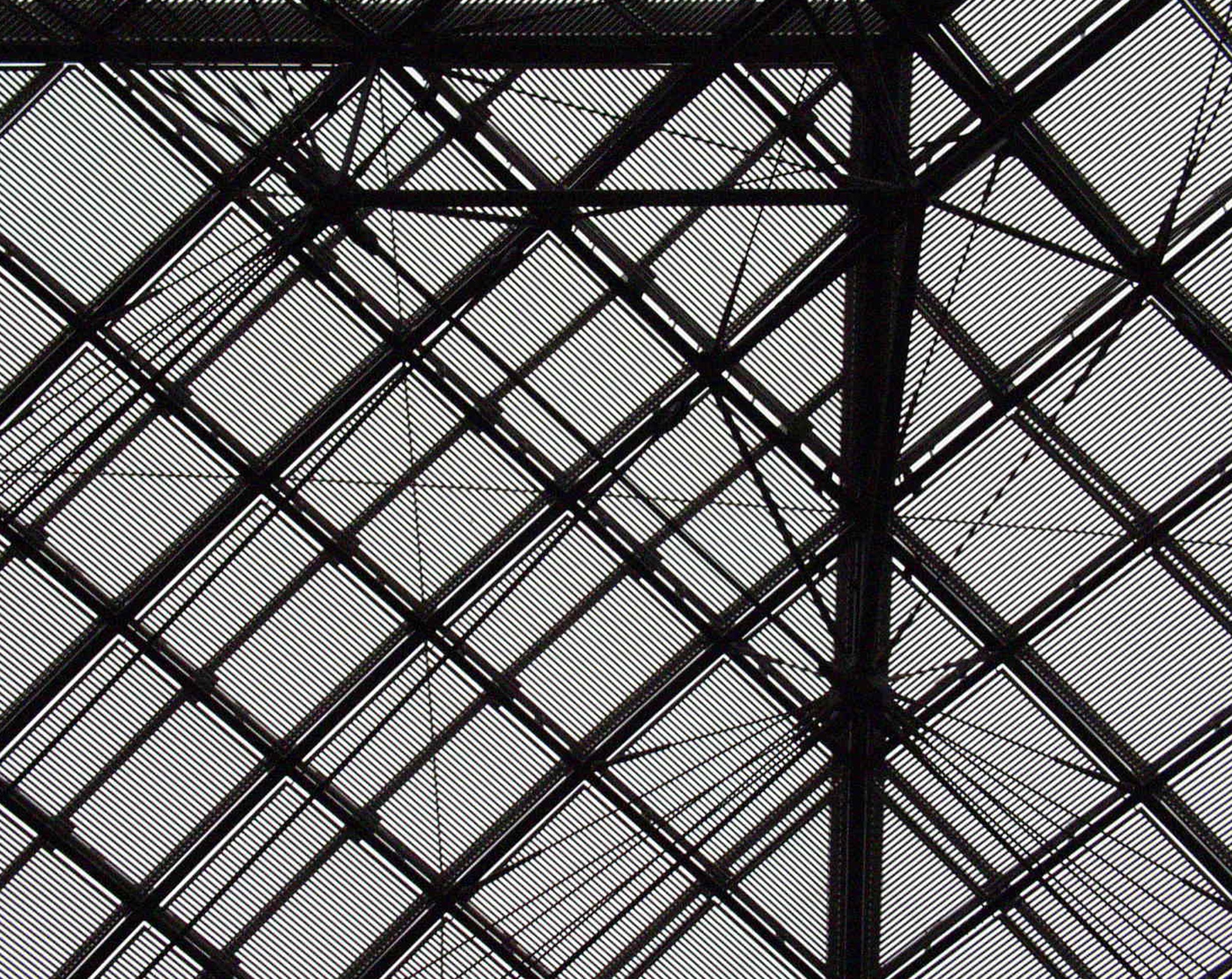 Iron and glass roof, diagonal grid with two spider-like joints