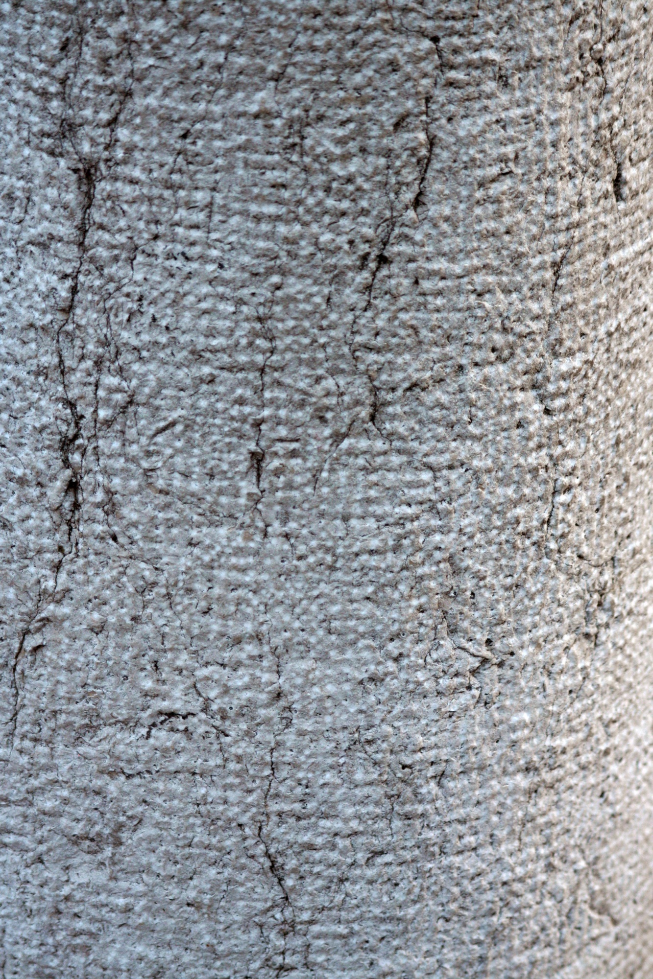 Cracked, rough grey surface of a column