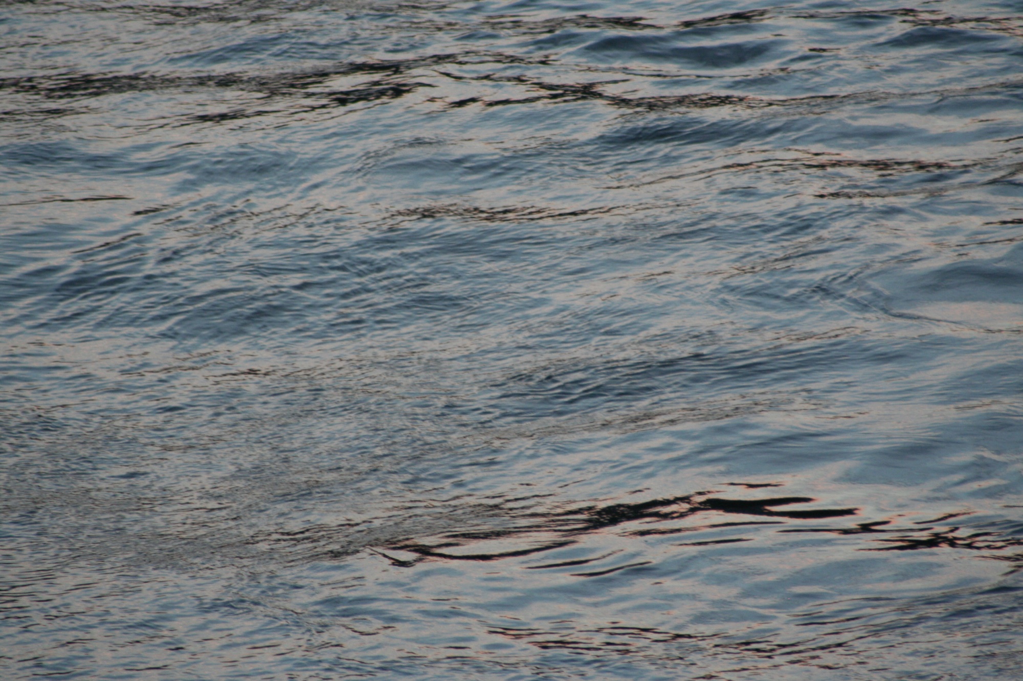 Grey water with small ripples