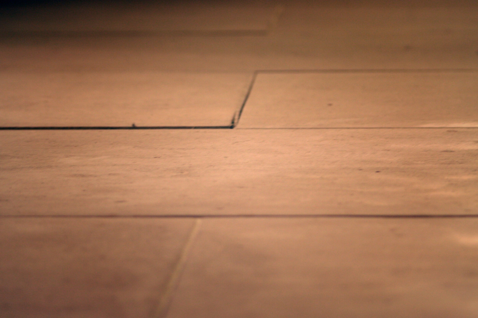 Stone floor slabs in warm light