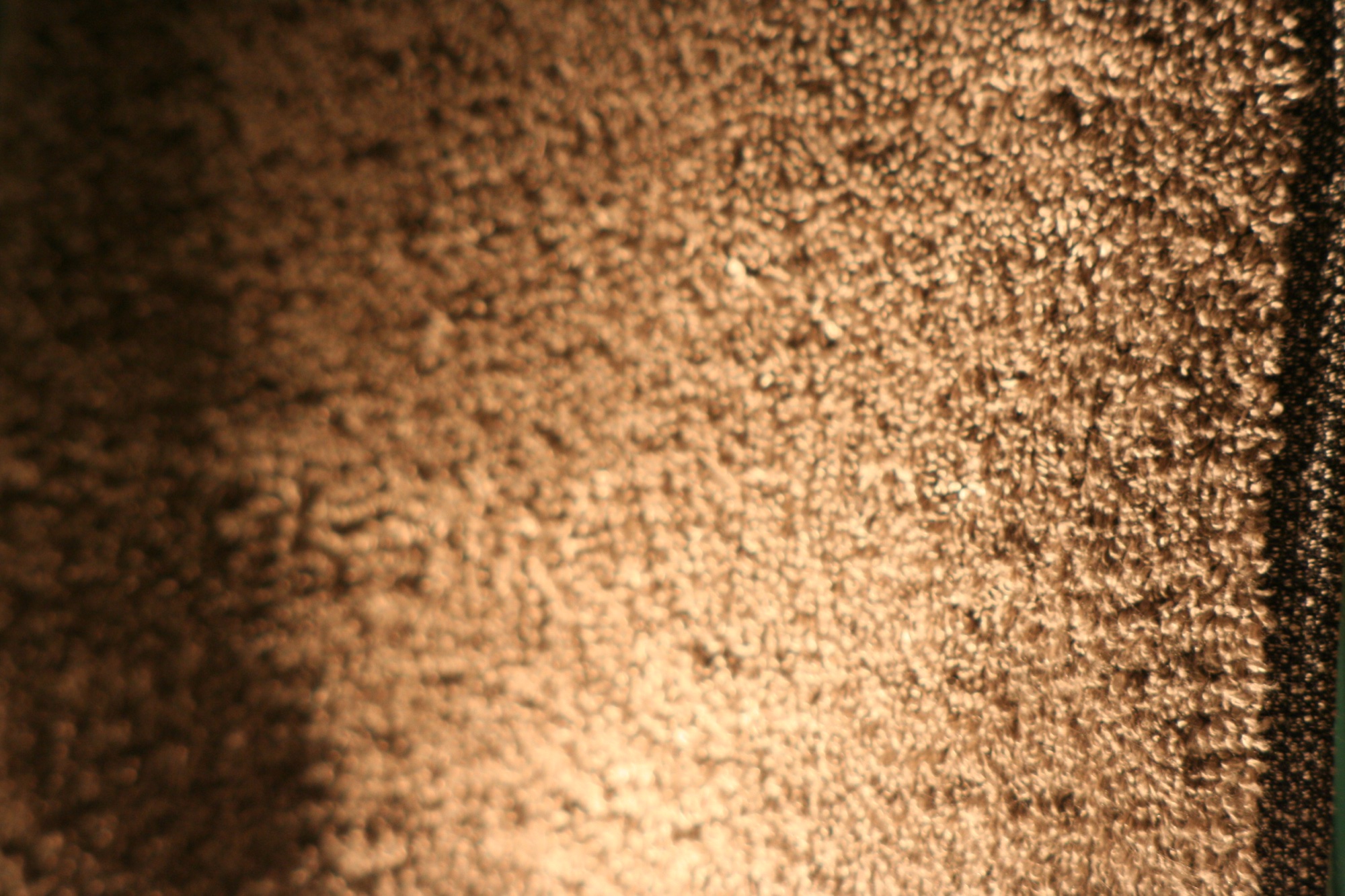 Rough sandy wall half in warm light